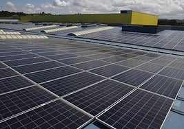 Instalación de paneles solares en la cubierta de la empresa.