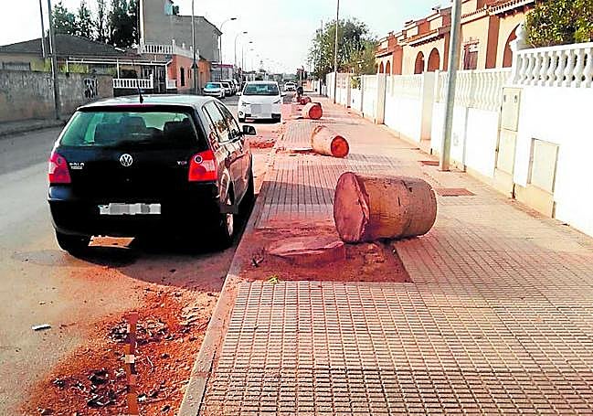 Restos de la tala de árboles, en el camino de los Palos de Pozo Estrecho.