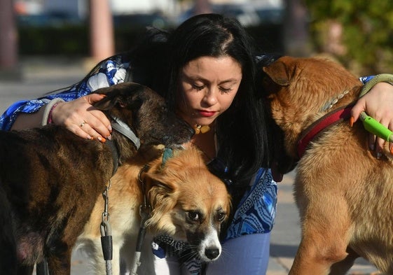 Rebecca Ochoa con sus perros 'Aura', 'Kendall' y 'Ares'.