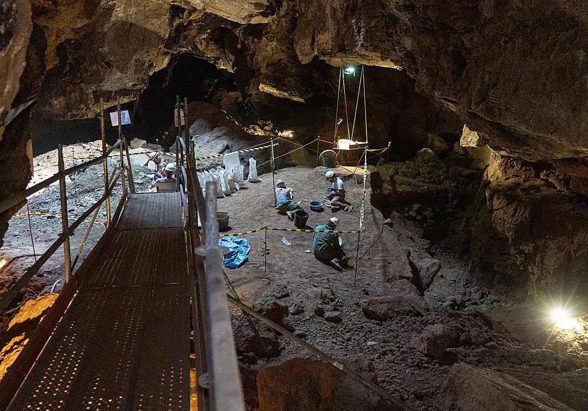 Vista general de una de las zonas con más restos del Pleistoceno inferior, donde trabajan paleontólogos y por donde pasarán los visitantes.