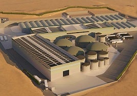 Planta proyectada en Las Torres de Cotillas.