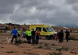 Sanitarios atienden a la mujer y la trasladan a un hospital.