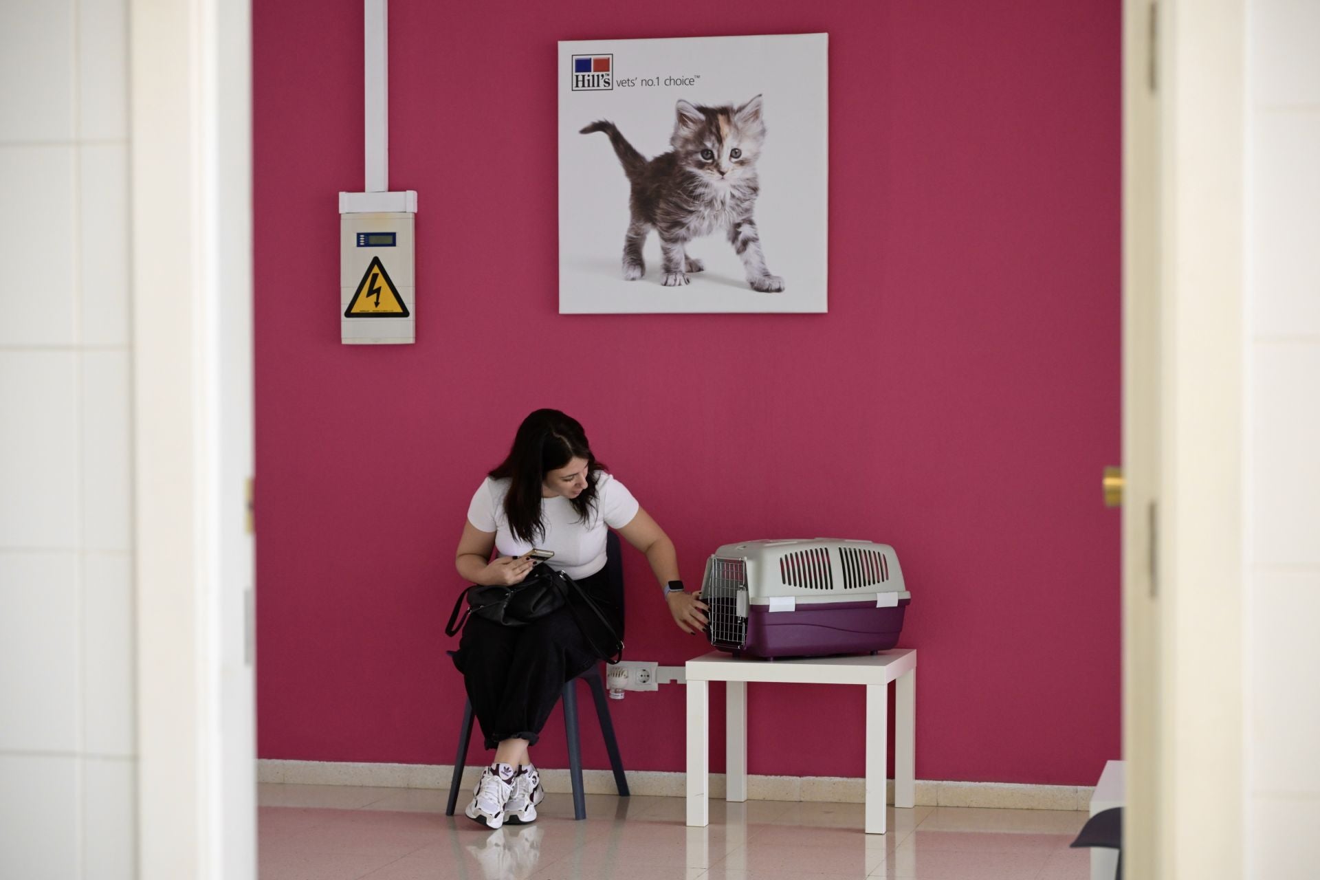 Acto conmemorativo del XXV aniversario del Hospital Clínico Veterinario de la UMU, en imágenes