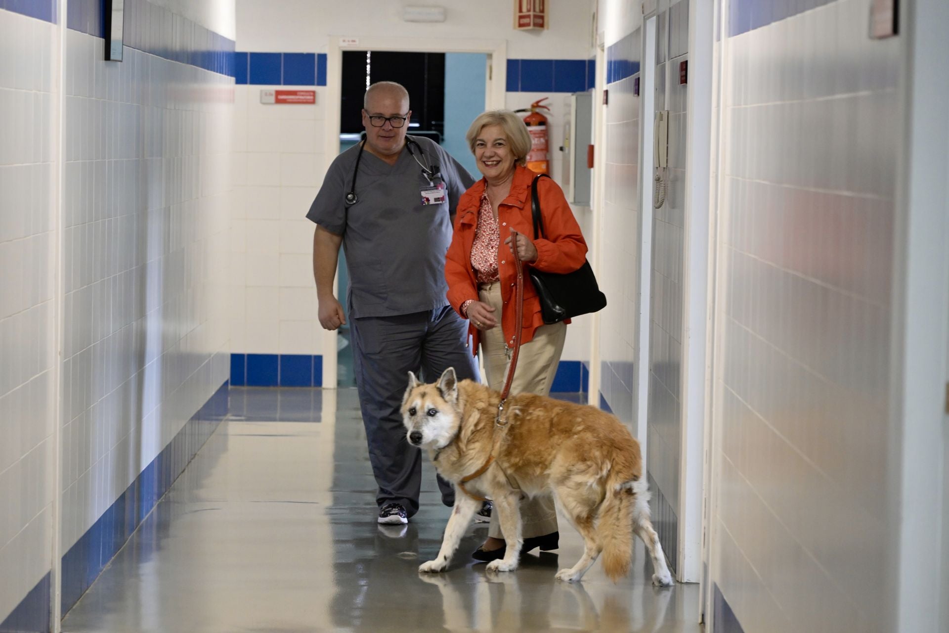 Acto conmemorativo del XXV aniversario del Hospital Clínico Veterinario de la UMU, en imágenes