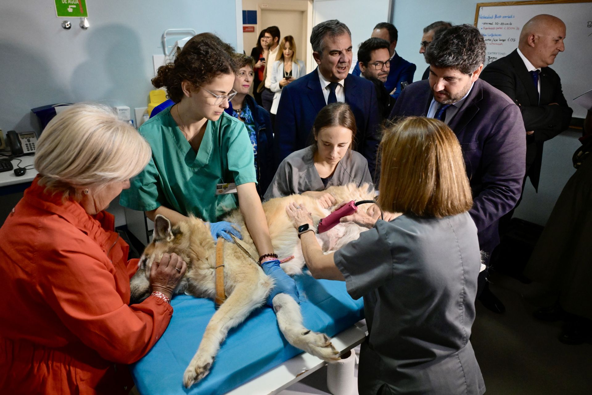 Acto conmemorativo del XXV aniversario del Hospital Clínico Veterinario de la UMU, en imágenes