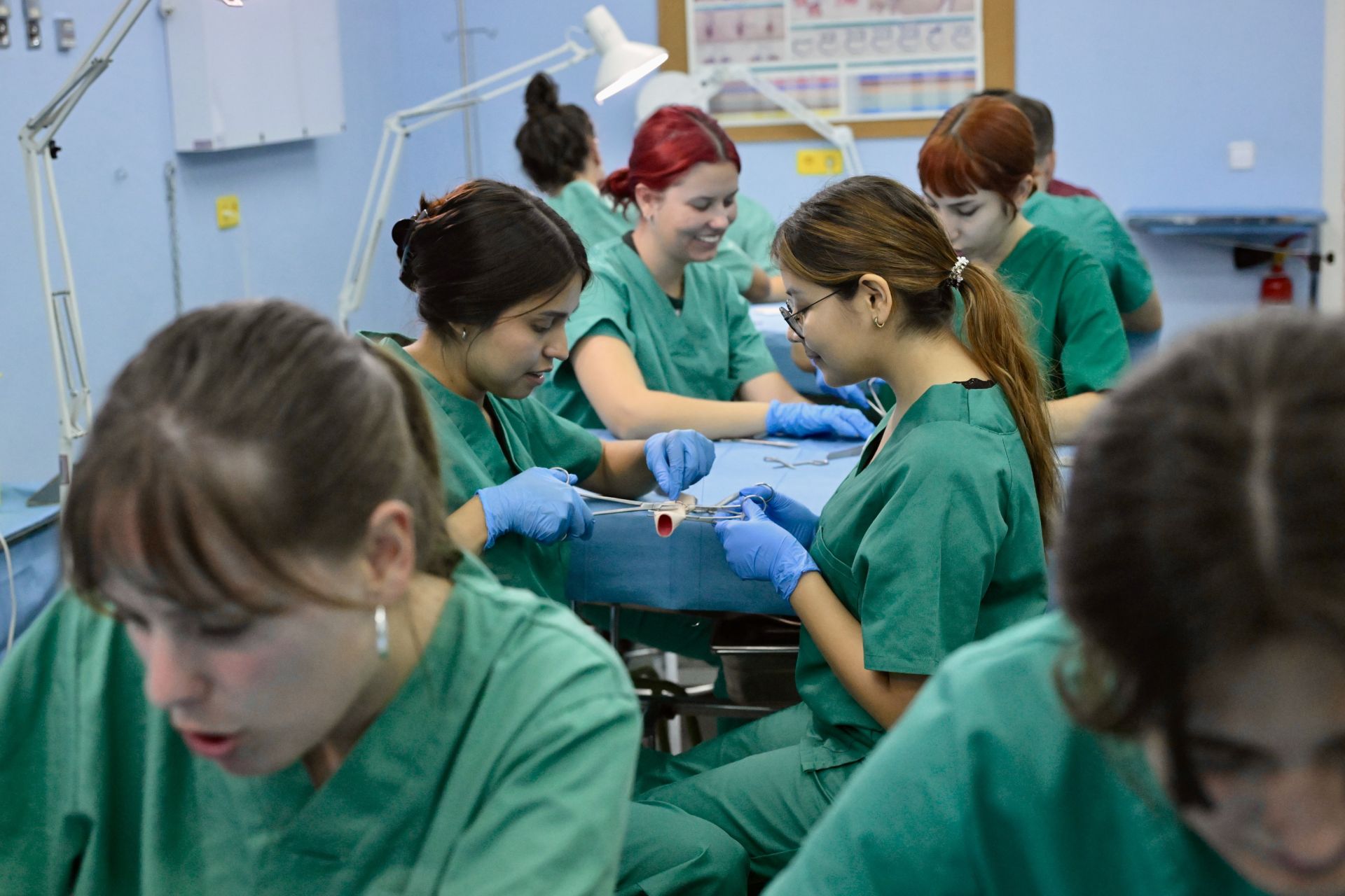Acto conmemorativo del XXV aniversario del Hospital Clínico Veterinario de la UMU, en imágenes