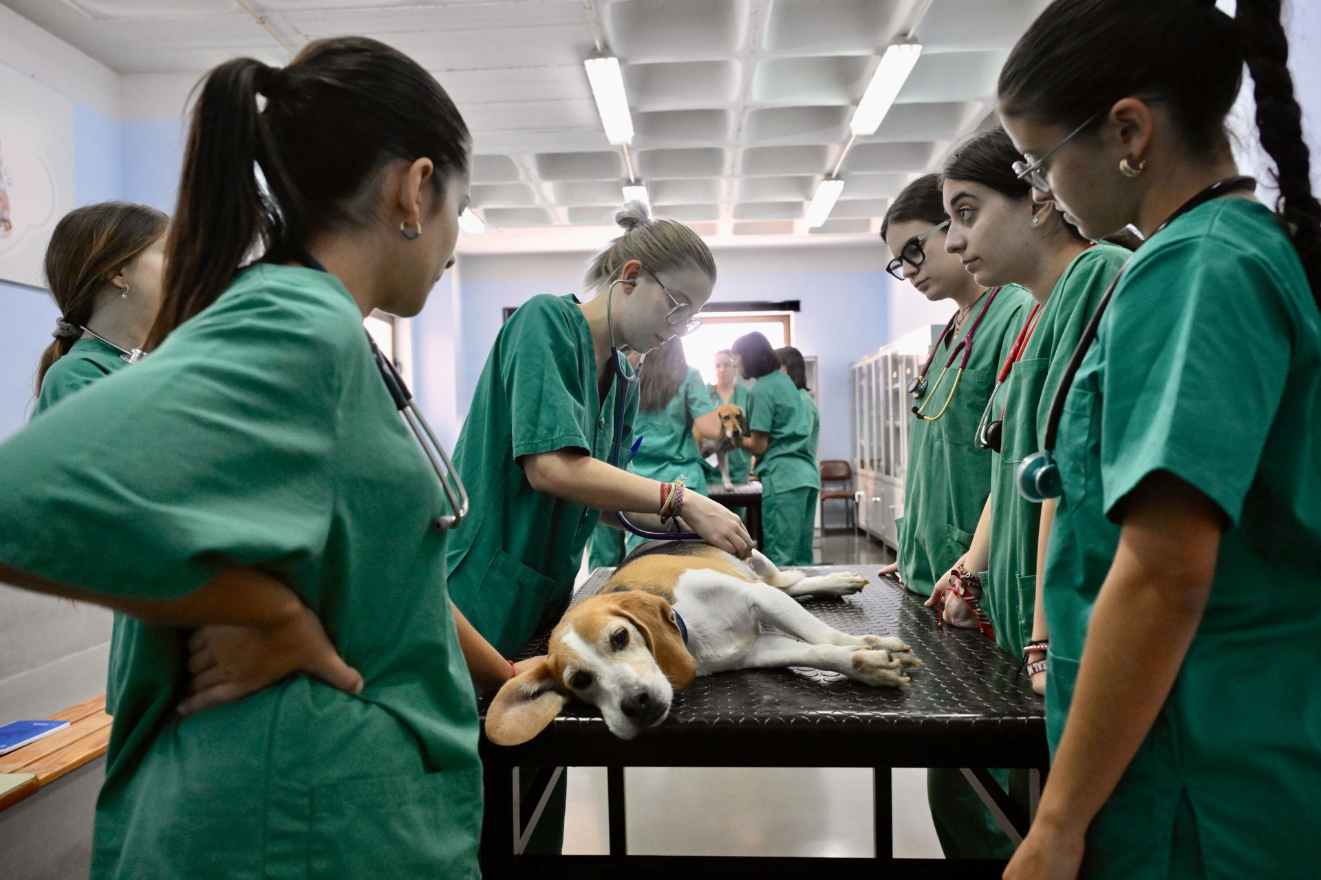 Acto conmemorativo del XXV aniversario del Hospital Clínico Veterinario de la UMU, en imágenes