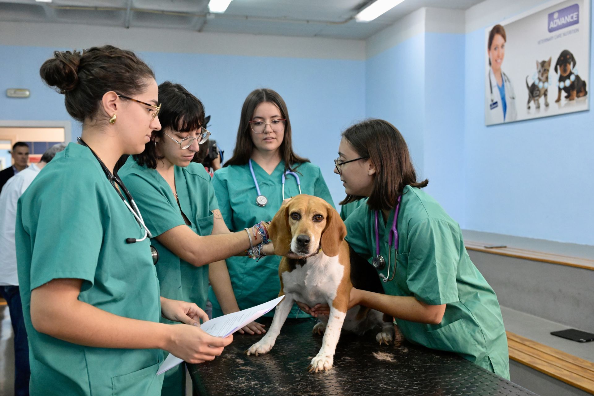 Acto conmemorativo del XXV aniversario del Hospital Clínico Veterinario de la UMU, en imágenes