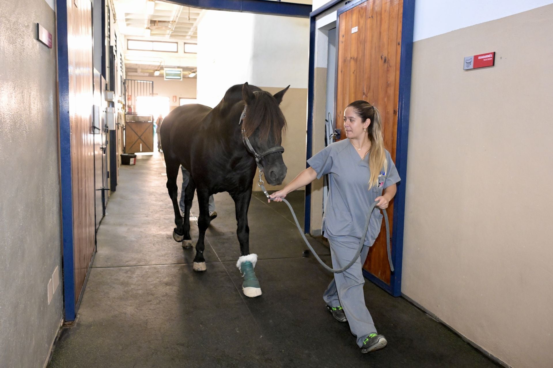 Acto conmemorativo del XXV aniversario del Hospital Clínico Veterinario de la UMU, en imágenes