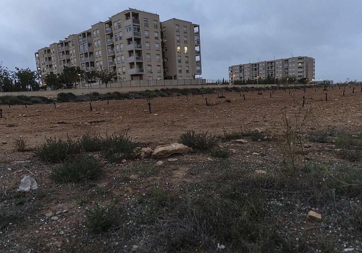 Terrenos en la finca Buenos Aires de Cartagena, donde la Sareb ofreció suelo al Consistorio.