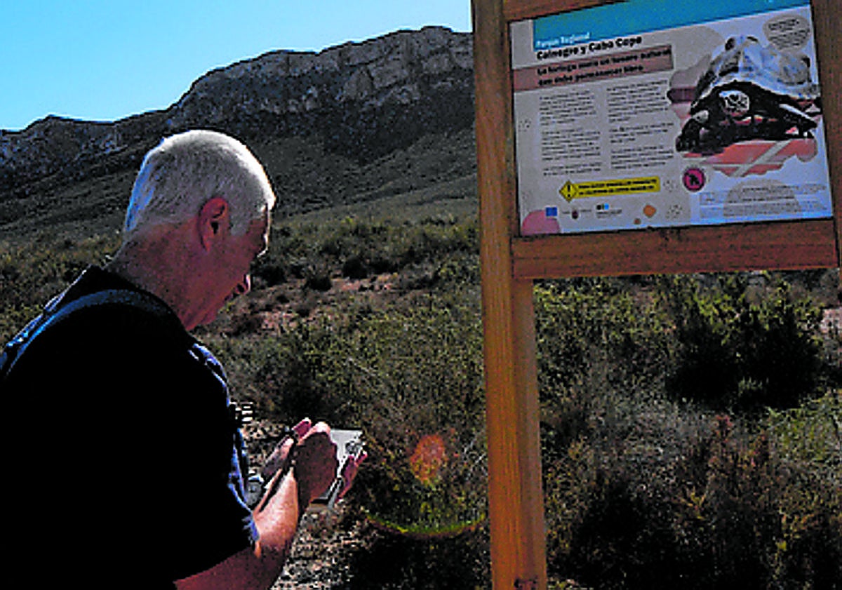 Imagen principal - Arriba: Al inicio del recorrido, los voluntarios registran viento y temperatura, y la hora. Abajo: Crías y adultas, junto al vallado. Un ejemplar adulto (i) detectado junto a la malla conejera entre la ladera de Cabo Cope y la RM-D15; y cría (d) detectada este otoño. 