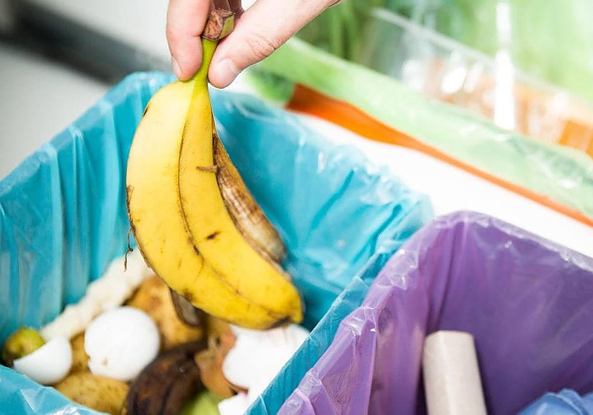 Una cáscara de plátano.