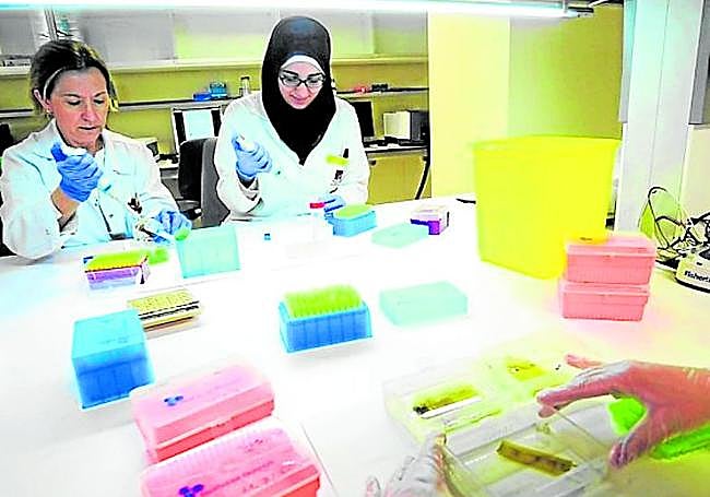 Investigadoras en un laboratorio de un Centro de Hemodonación.