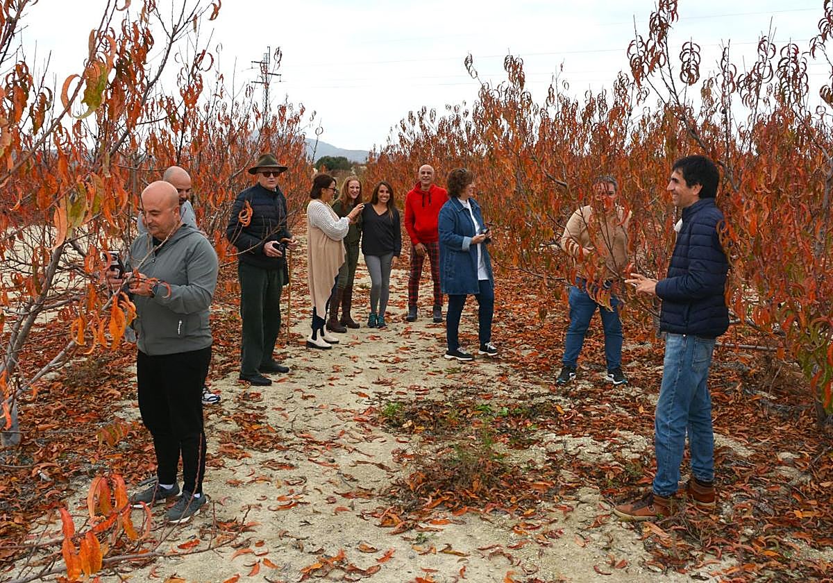 Un grupo de personas visitan la estampa otoñal de los árboles de Cieza.