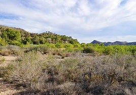 Vista de una parcela de suelo industrial en Santomera en una imagen de archivo.