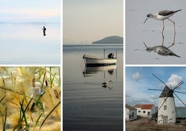 Estaciones. Fotografías del Mar Menor en diferentes épocas del año realizadas por Xiao Liang Ji, José María Caballero, Isabel Rubio, Joaquín Molina y María José Villarroya.