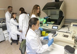 Diogo Ribeiro, Marketa Pablikova, Fátima Postigo, Ana Albaladejo y Andrea Pérez, en uno de los laboratorios del Santa Lucía.