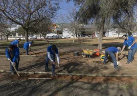 Seis alumnos de la ADLE trabajan en la creación de la zona verde, en el polígono Cabezo Beaza.