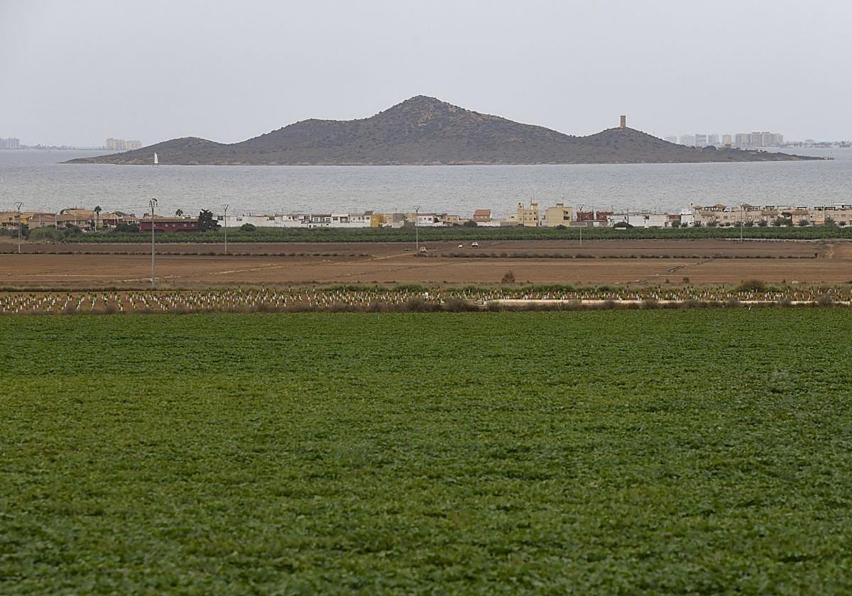 Campo de Cartagena con el Mar Menor al fondo en una imagen de archivo.