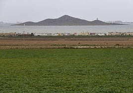 Campo de Cartagena con el Mar Menor al fondo en una imagen de archivo.