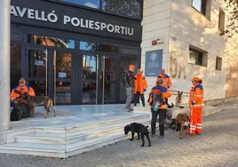 El equipo de rescate holandés con perros adiestrados, en Valencia.