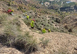 Efectivos de emergencias que han participado en el dispositivo de rescate.