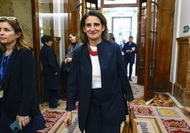 Teresa Ribera, el miércoles pasado en el Congreso de los Diputados.