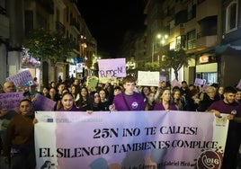 La marcha del 25-N en Orihuela, este lunes, a su paso por la calle San Pascual.