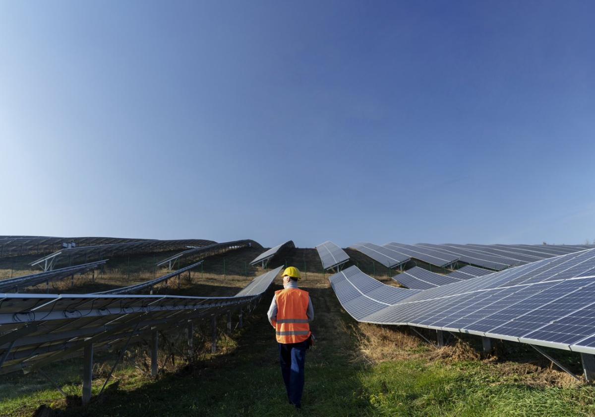 Un experto en energías renovables recorre un huerto solar.