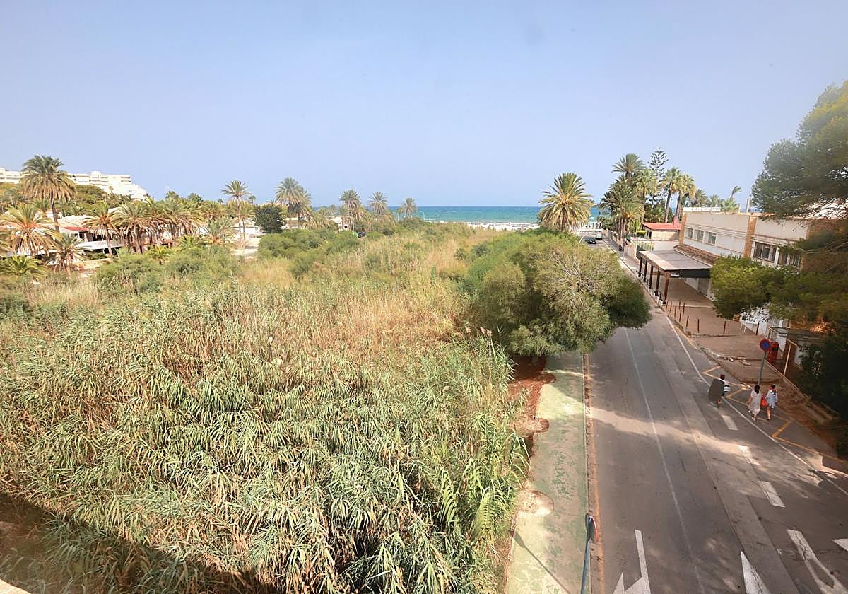 Estado de la desembocadura del río Nacimiento, en Campoamor, en un foto del mes de agosto.