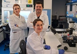 Los investigadores Antonio González, Ángela Ávila (de pie) y Beatriz Garay.