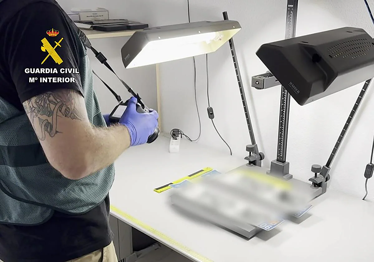 Matrículas falsas decomisadas al detenido.