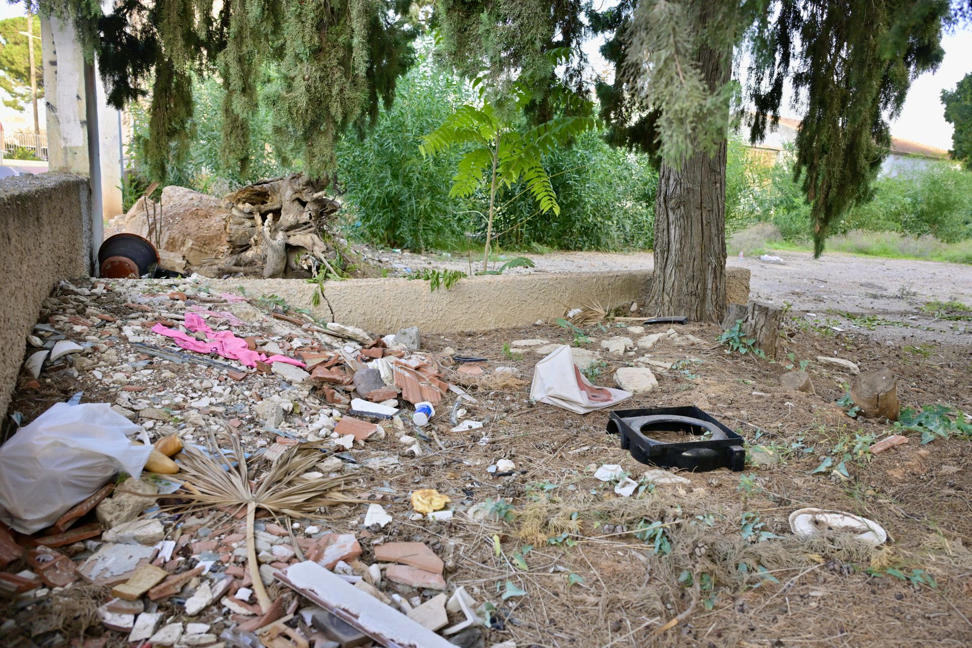 Gallos y gallinas conviven con basura y escombros en Santiago y Zaraíche, en imágenes