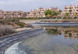 Mal estado del lago ornamental de Condado de Alhama.