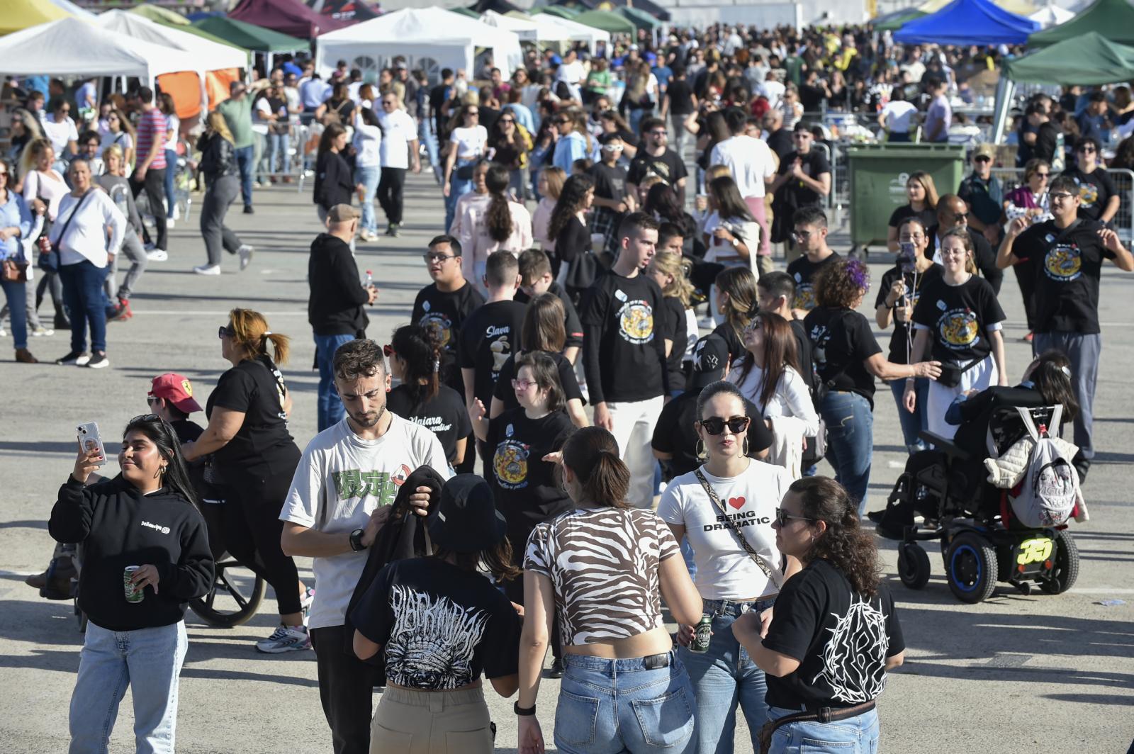 Las imágenes del concurso de paellas de las fiestas de la Purísima en Torrevieja