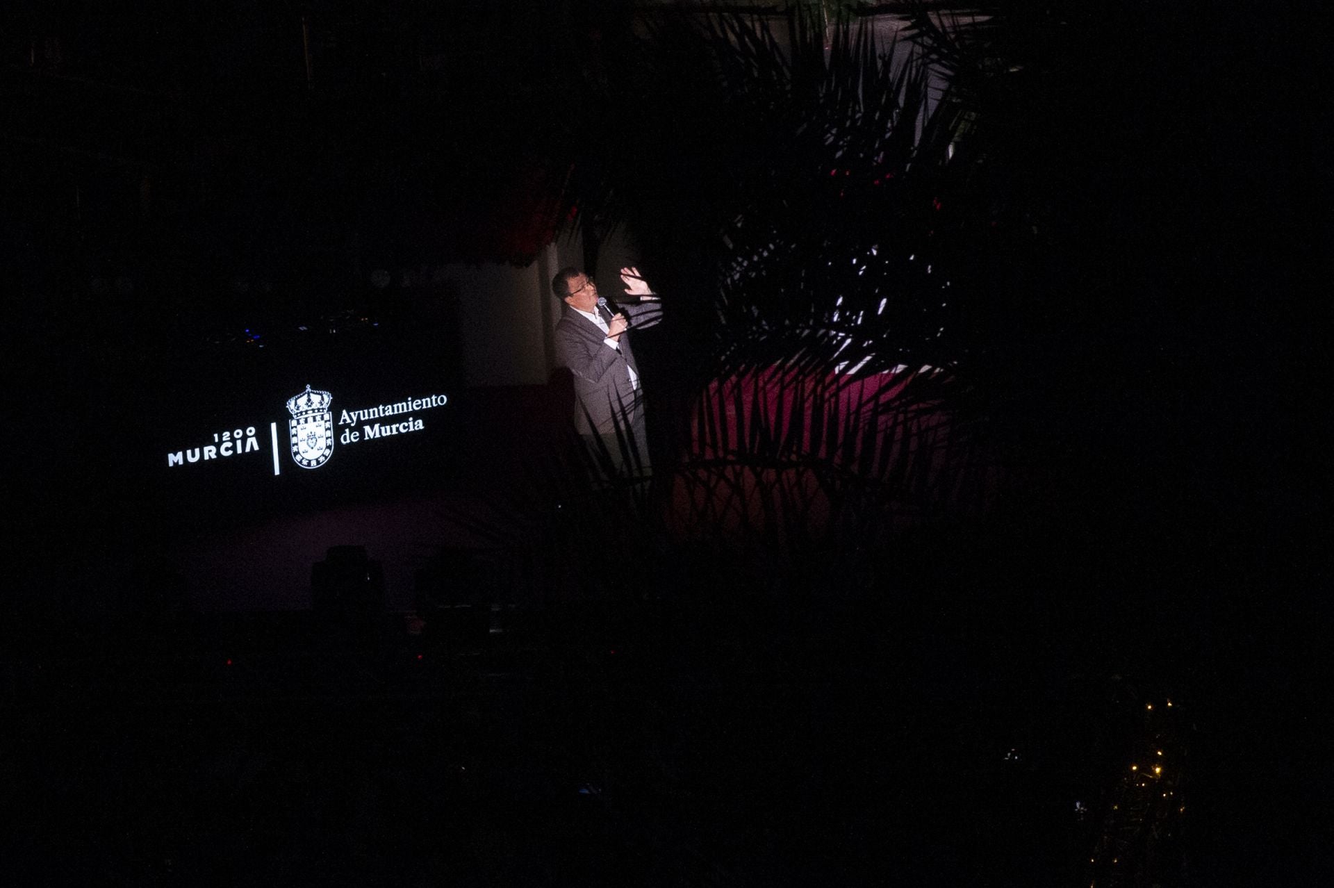 El encendido del Gran Árbol de Navidad de Murcia, en imágenes