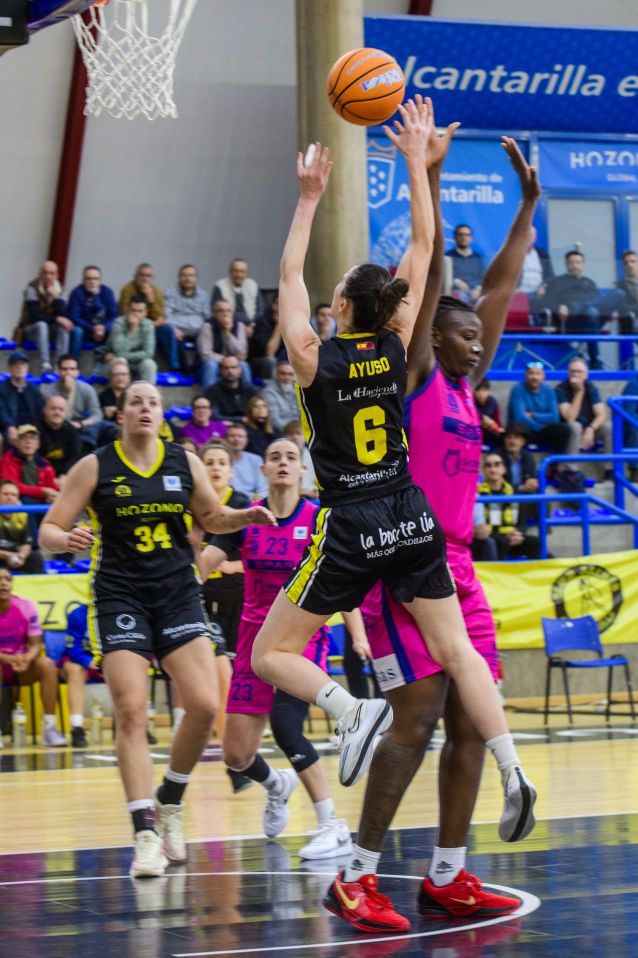 La victoria del Hozono Global Jairis ante el Spar Gran Canaria, en imágenes