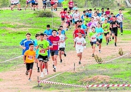 Un momento del cross escolar de Cartagena.