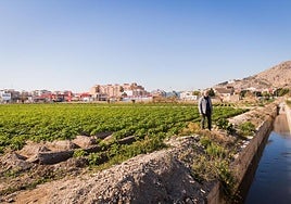 El juez de aguas, José Bernabé, inspecciona una acequia a las afueras de Orihuela.