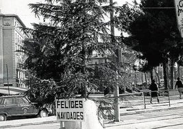 Pobre. El modesto árbol de Navidad que el Ayuntamiento colocó en el año 1971 en la céntrica plaza de Martínez Tornel.