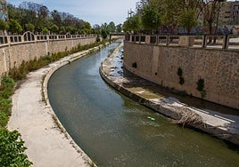 Cauce del río Segura a su paso por el puente del Rey, en una imagen de archivo.