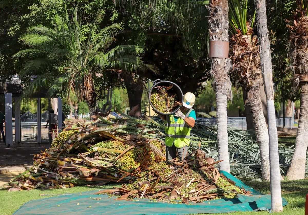 Imagen de archivo de un operario del Servicio de Parques y Jardines en el jardín del Salitre.