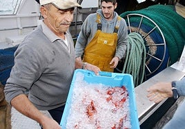 Unos pescadores descargan capturas de gamba roja a su llegada a puerto, en una imagen de archivo.