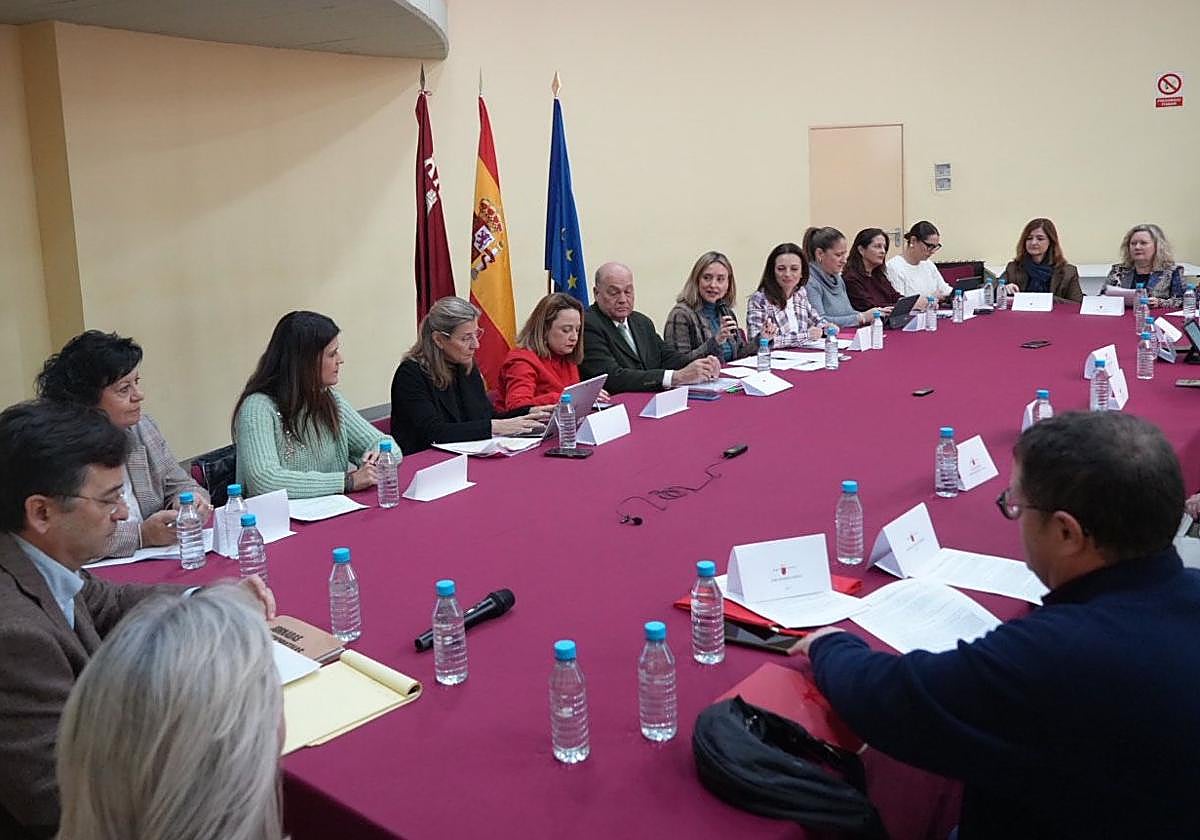 Reunión del Consejo Regional de Servicios Sociales, este martes, en la Consejería de Política Social, Familias e Igualdad.