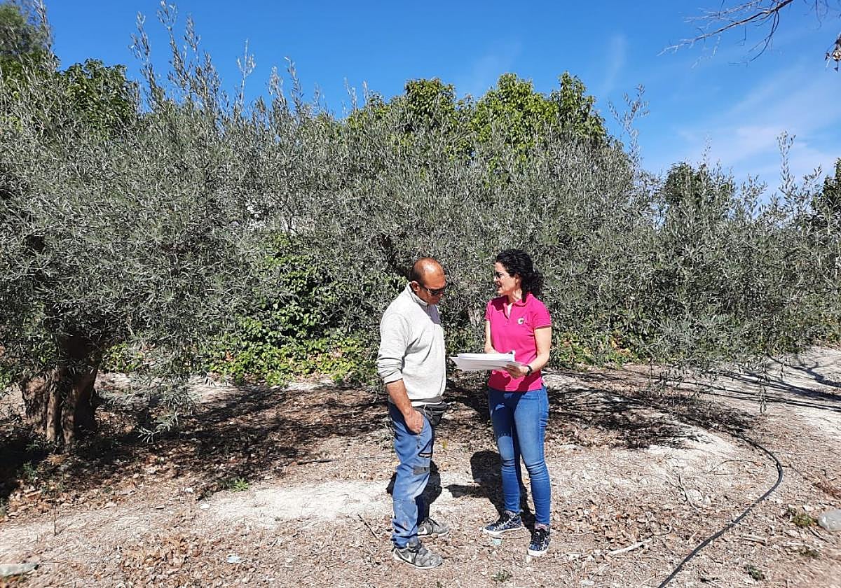 Técnicos llevando a cabo labores de asesoramiento en una finca.