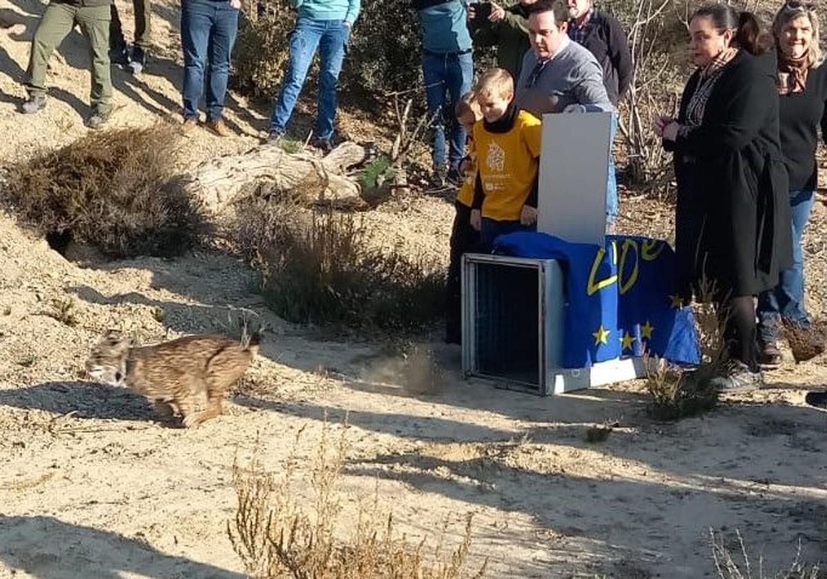 La secretaria autonómica de Energía, Sostenibilidad y Cambio Climático, María Cruz Ferreira, durante la liberación del lince 'Queo' en Vélez Rubio (Almería).