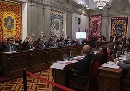 Una imagen del Pleno municipal de Cartagena este jueves.