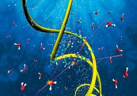 Representación artística de electrones energéticos colisionando con una molécula de ADN sumergida en agua.