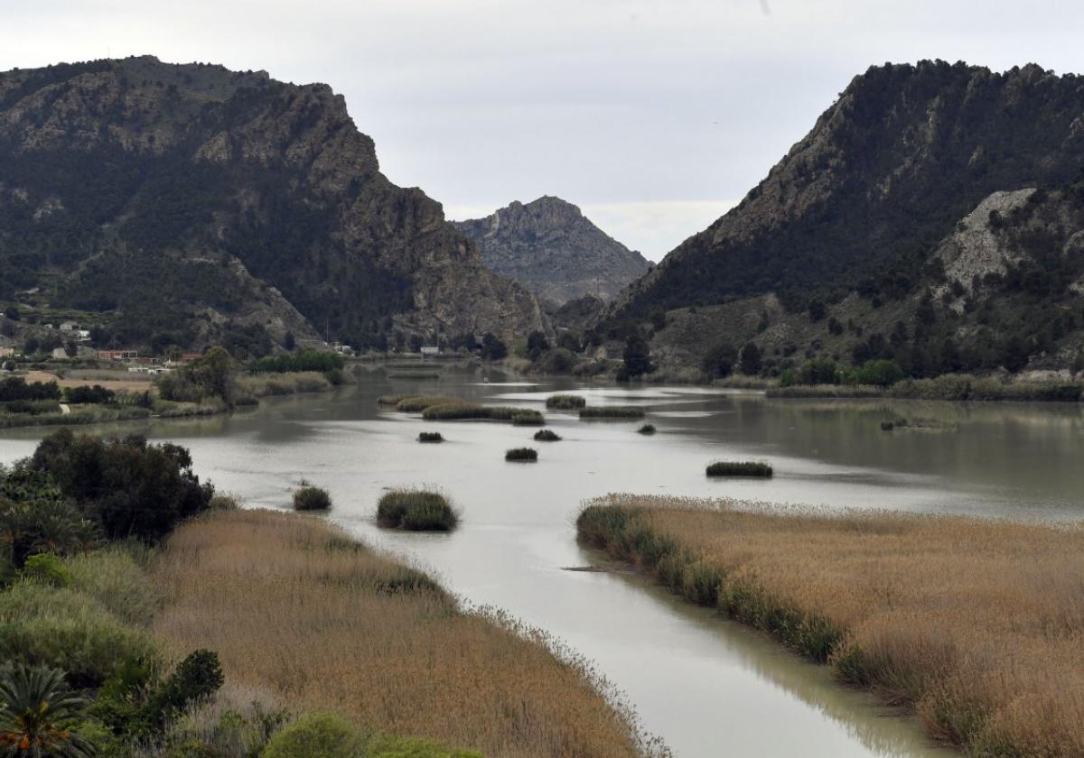 Una decena de ríos y embalses del Segura salen del farolillo rojo del deterioro ecológico