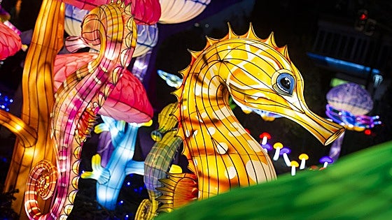 Así es Lucidum, el espectáculo sensorial navideño de Murcia